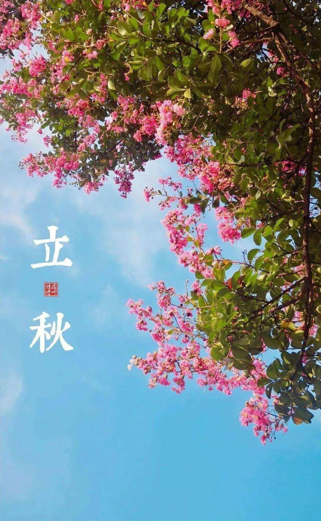 忽然梧叶落庭中,十首立秋的诗词,惟愿你此生一切安然顺遂!