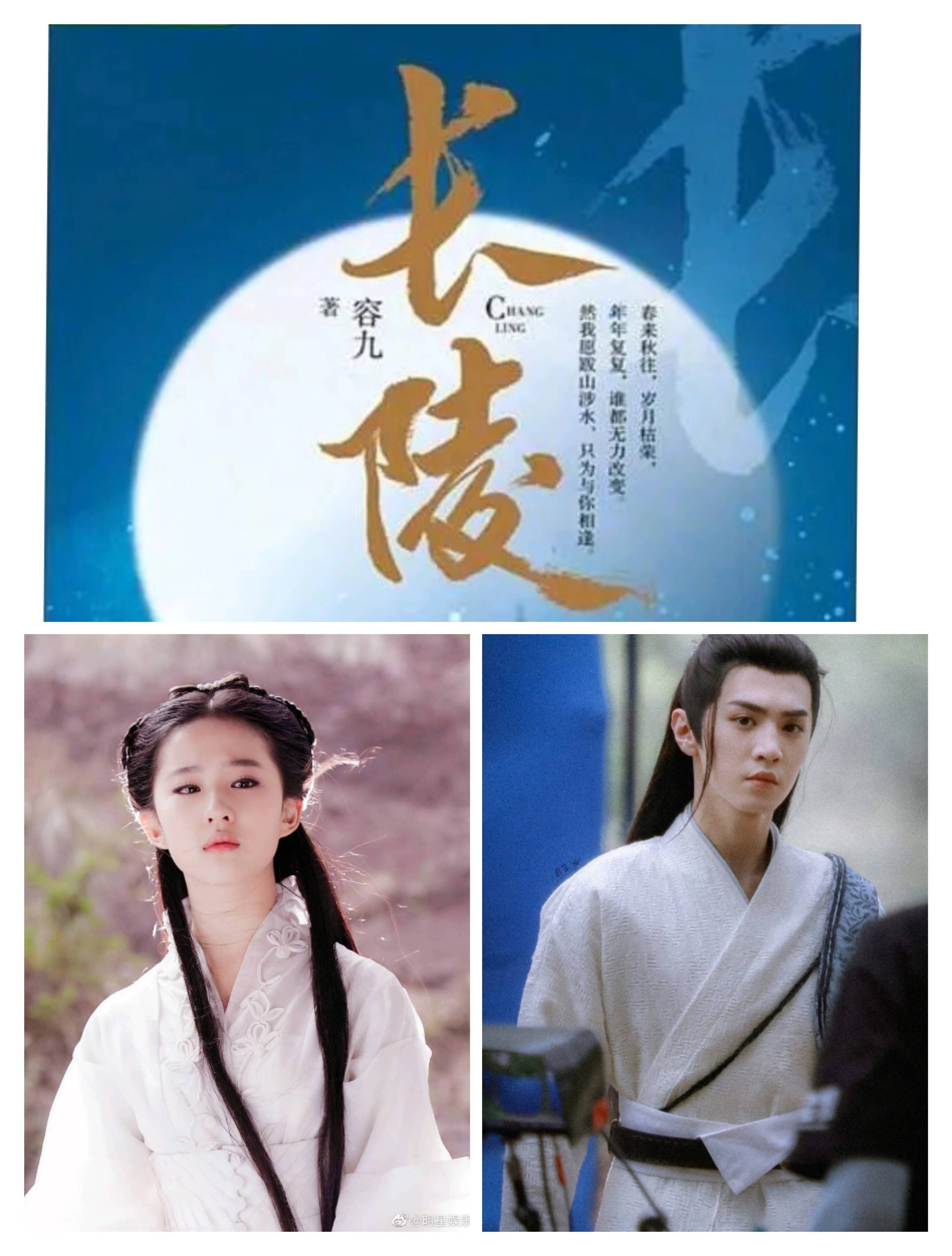 所以如果要与他搭档的话,刘亦菲可能需要单扛这部剧.