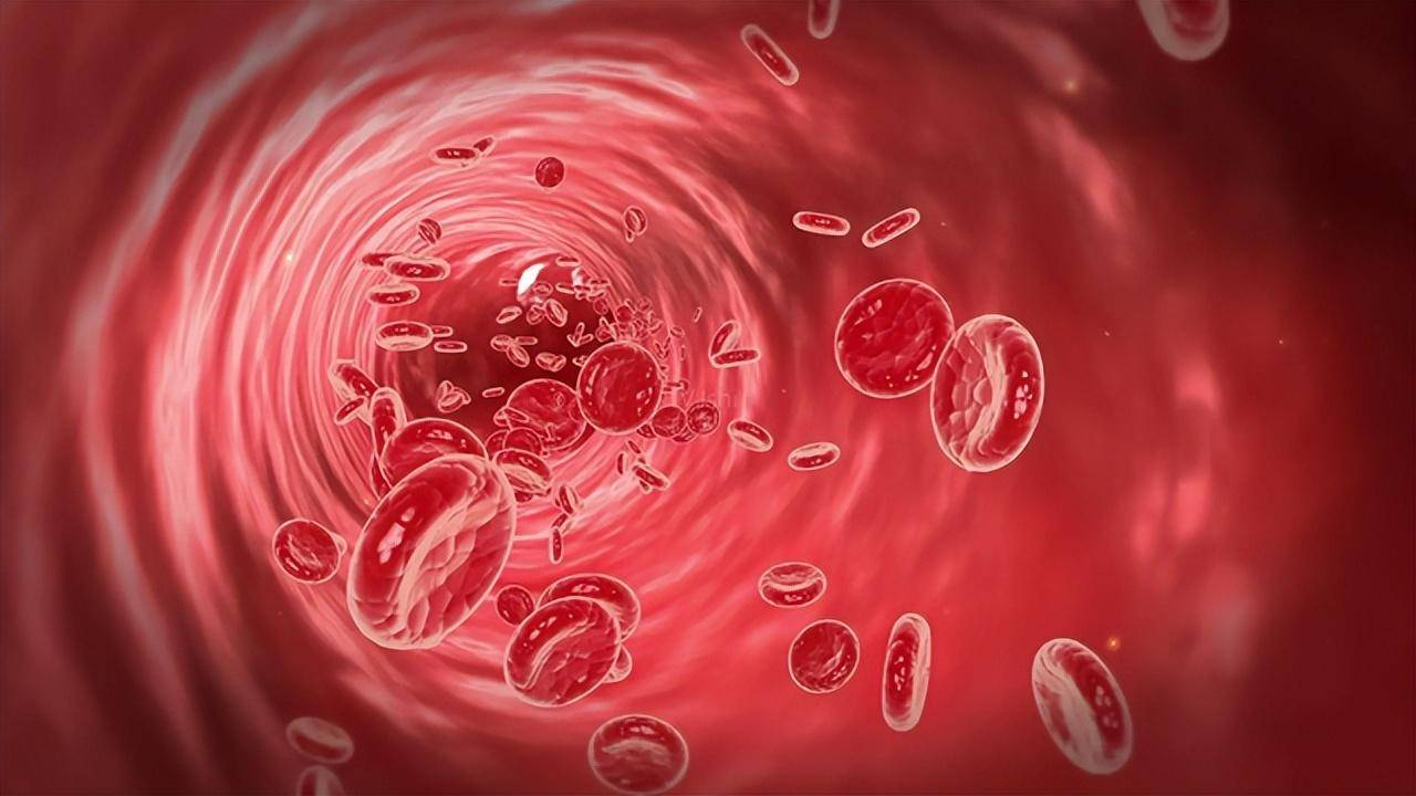 先来说一说黄金血,我们都知道人体身上流淌着红色的血液,它是我们生命