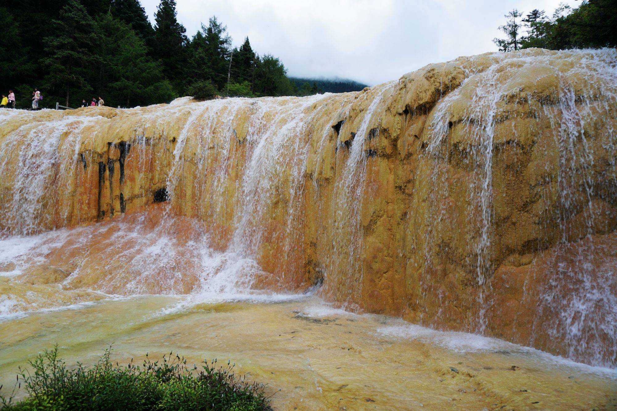中国保护完好的高原湿地奇特的钙华景观人间瑶池黄龙