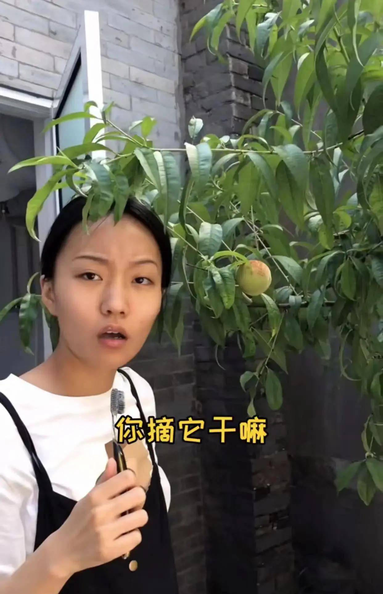 在之前的一段视频中,邵宇轩因为没有向张小花汇报而接到了一个广告,张