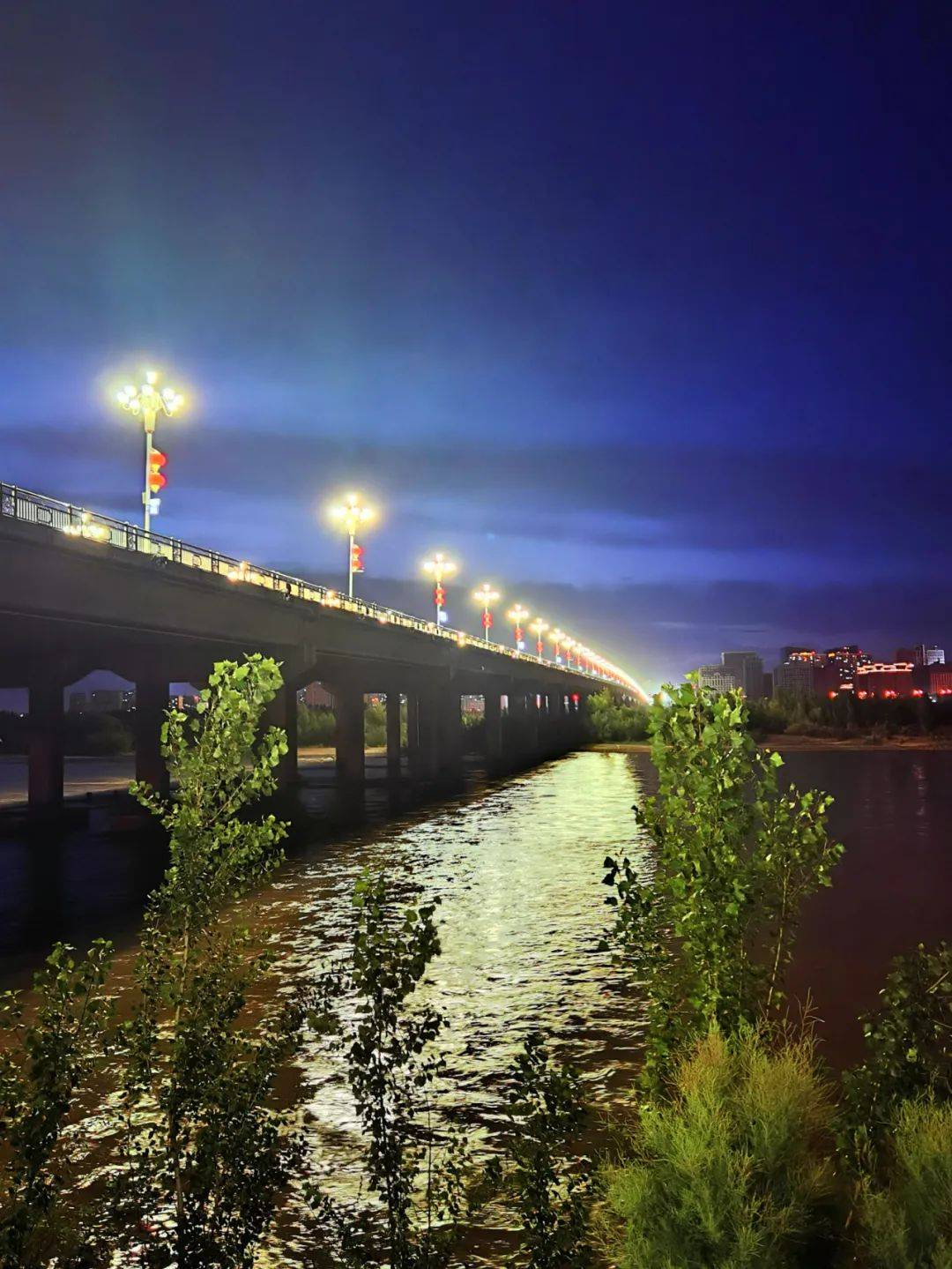 伊犁夜景图片