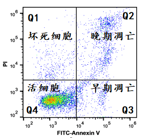 propyliodide图片