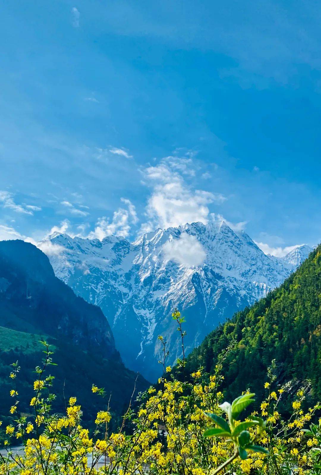 峡谷幽深这里到处充满着原始的气息一路美景尽收眼底从嘉黎县的尼屋乡