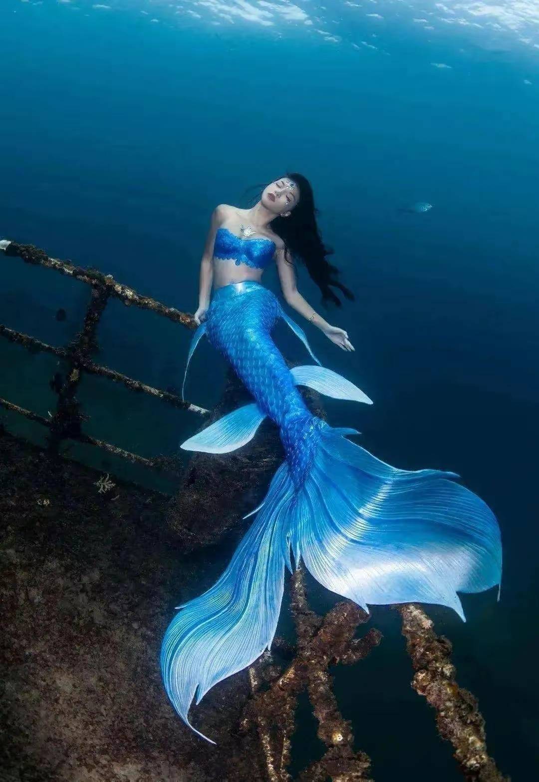 中国真正的美人鱼图片图片