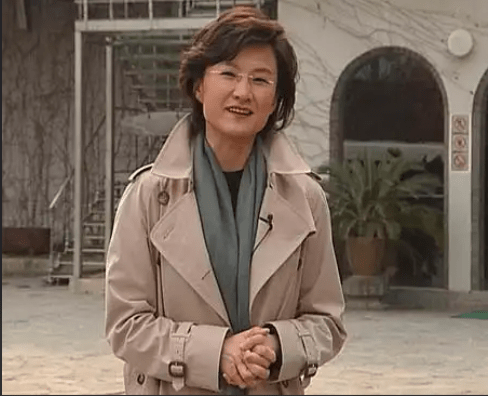 从"央视名嘴"到"过街老鼠",董倩面对的流言背后,没那么简单_提问_观众