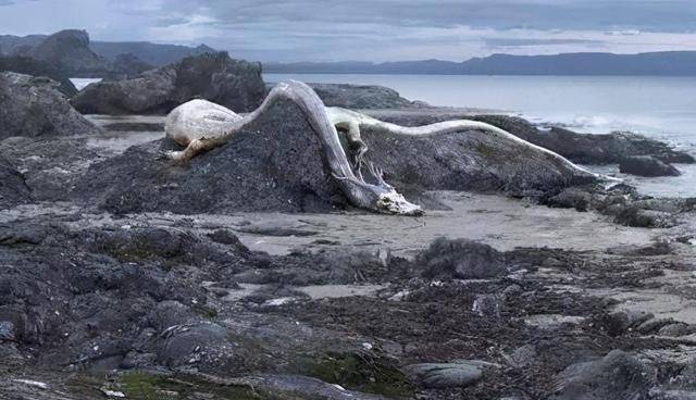 一千多年前,辽太祖耶律阿保机射死的那条"龙",到底是啥动物?