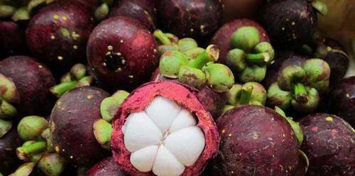 山竹为什么卖那么贵 这几个原因有点 迫不得已 难怪不便宜 藤黄 水果 榴莲