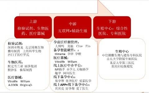 上海哪个助孕机构好（学到了吗）