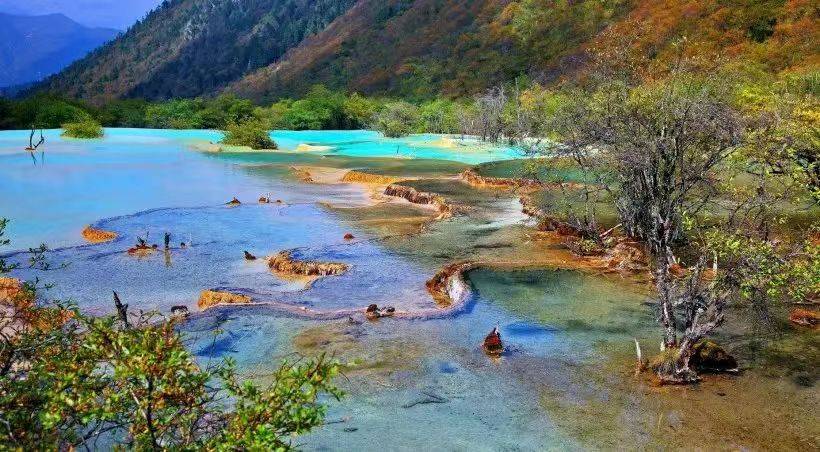 黄龙」圣地黄龙，人间瑶池_景观_景区_黄色