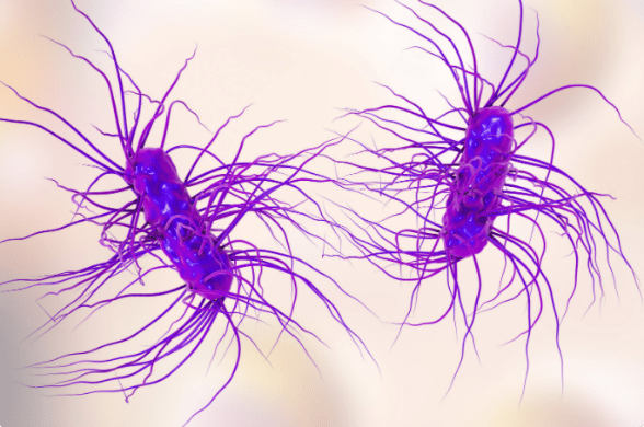 最新研究表明:使用健康人的粪便可以治愈糖尿病_阿米尔