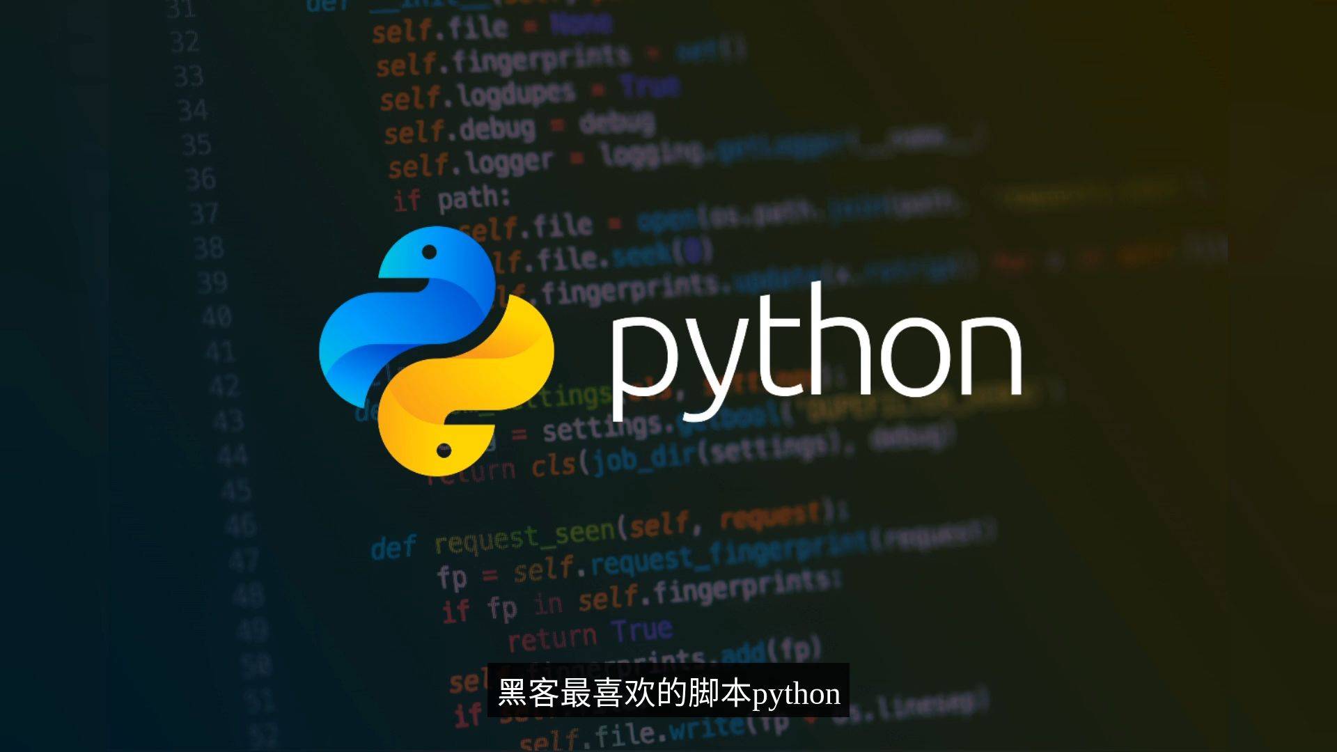 python怎么读_Python  第1张