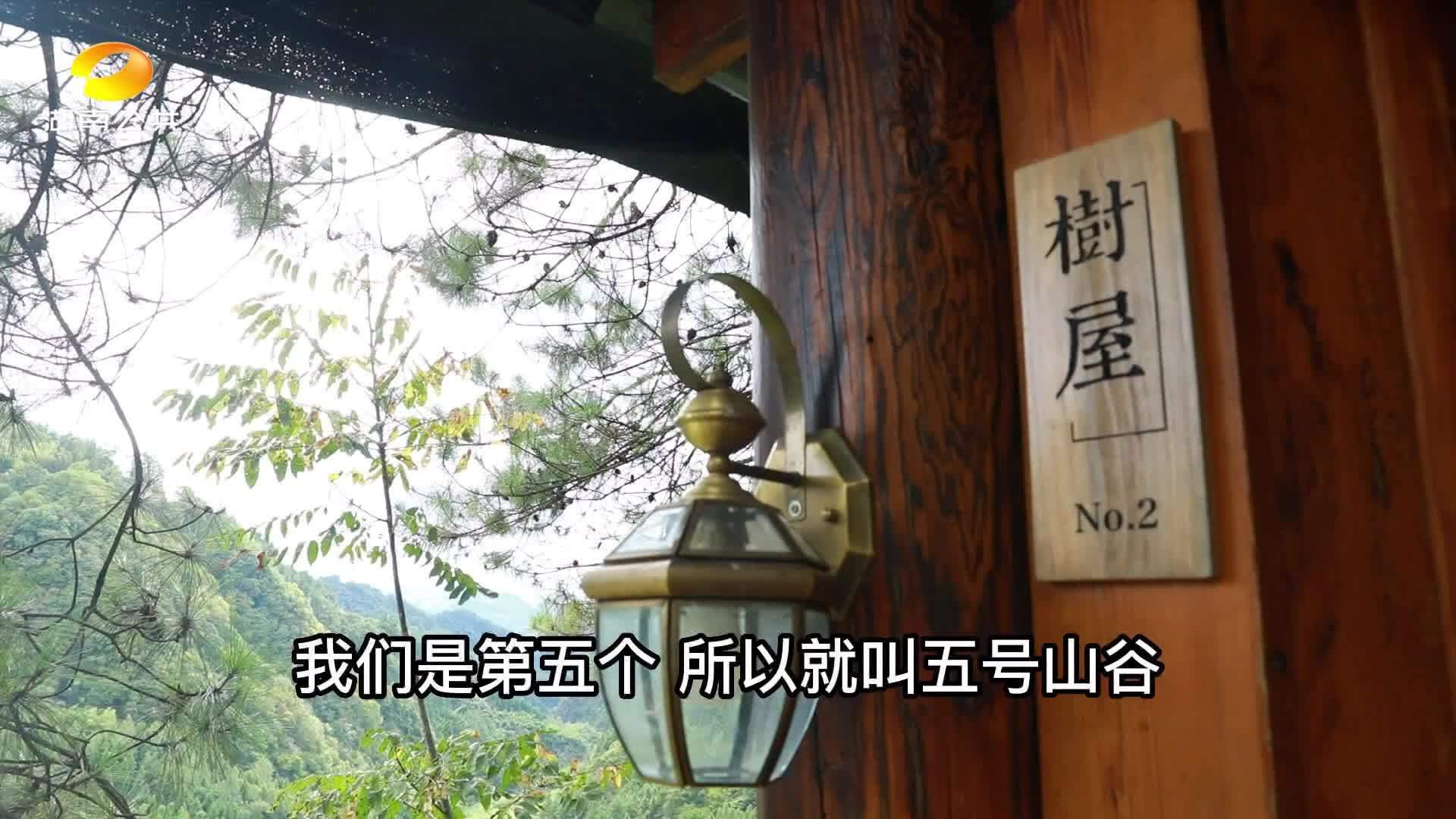 这座像 “老家”的民宿 还是乡村振兴主力军