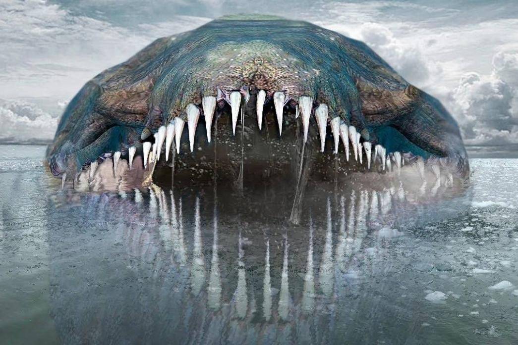 盘点海洋中最危险十大动物,任一种都能致人死亡,毒性最强是谁?