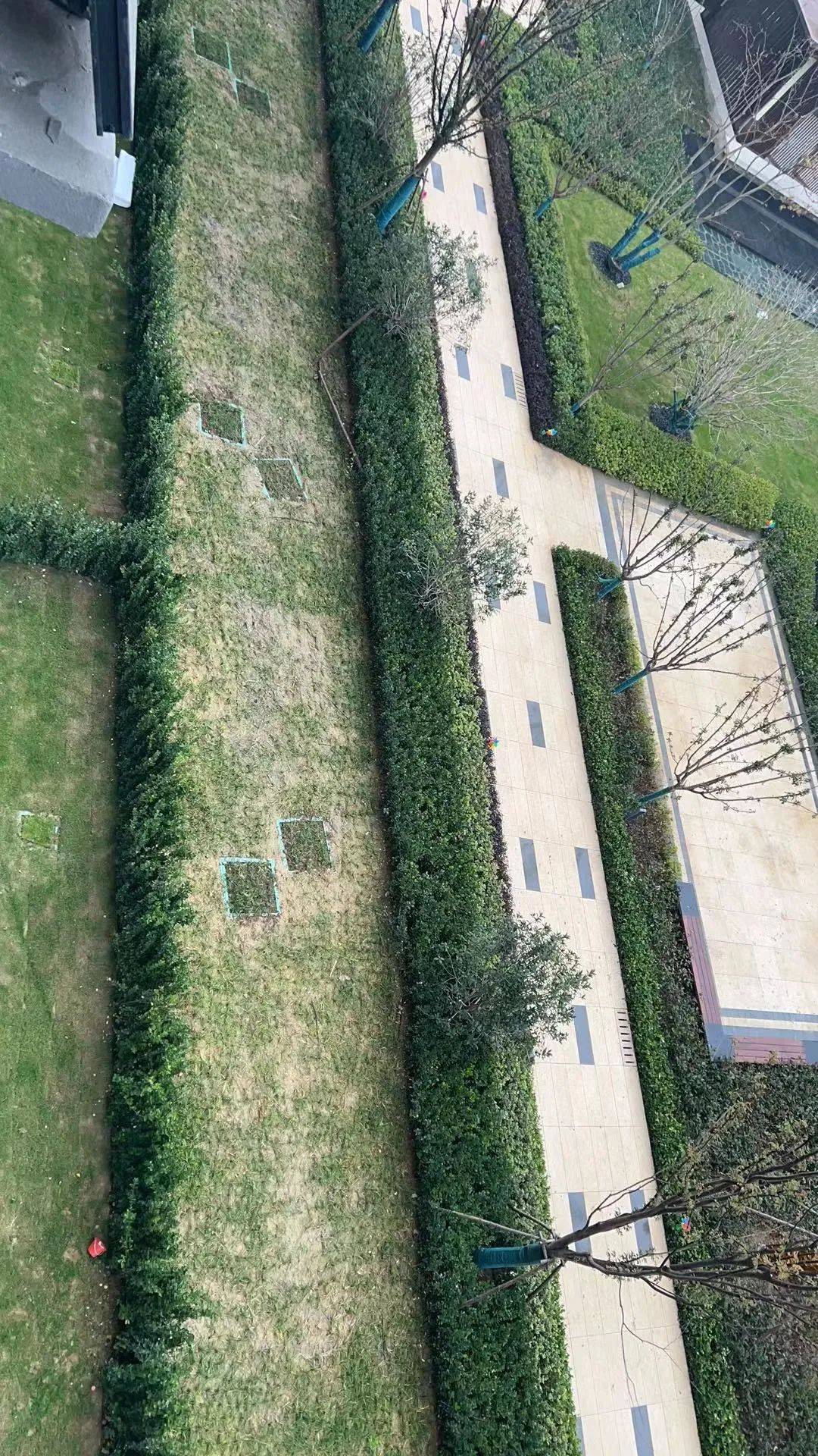 业主投诉:合肥城建集团琥珀晴川里项目涉嫌虚假宣传 存在设计缺陷