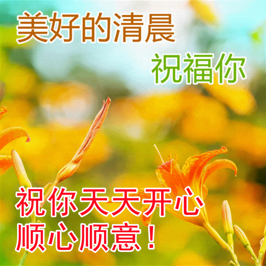 12月24日最新问候早安图片动态带字 早上好问候图片动态带字_祝福