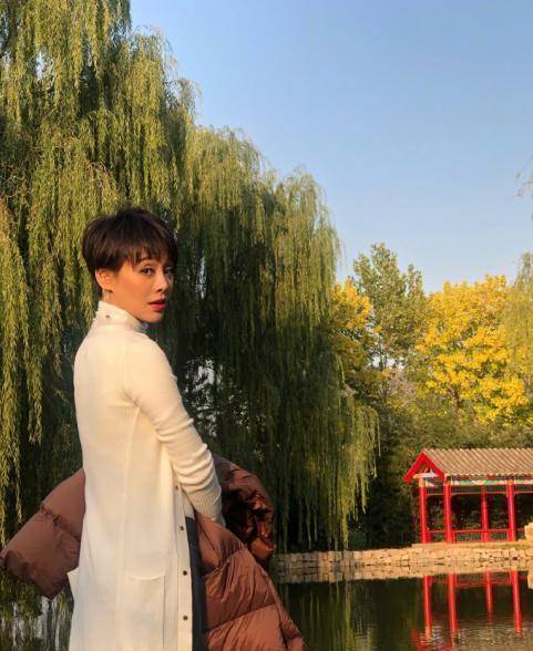 宁静否认改变国籍,在娱乐圈闯荡25年,她还是像个异类_性格_父母_儿子