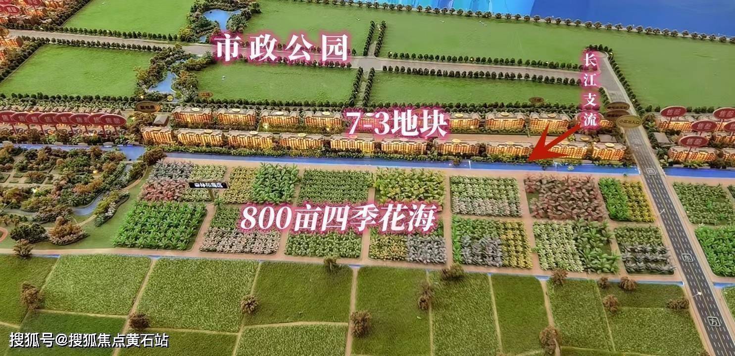 崇明岛大爱城-楼盘简介_搜狐网