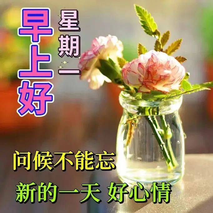 12月26日腊月初四清晨早上好问候祝福图片 星期一最新早安问候祝福