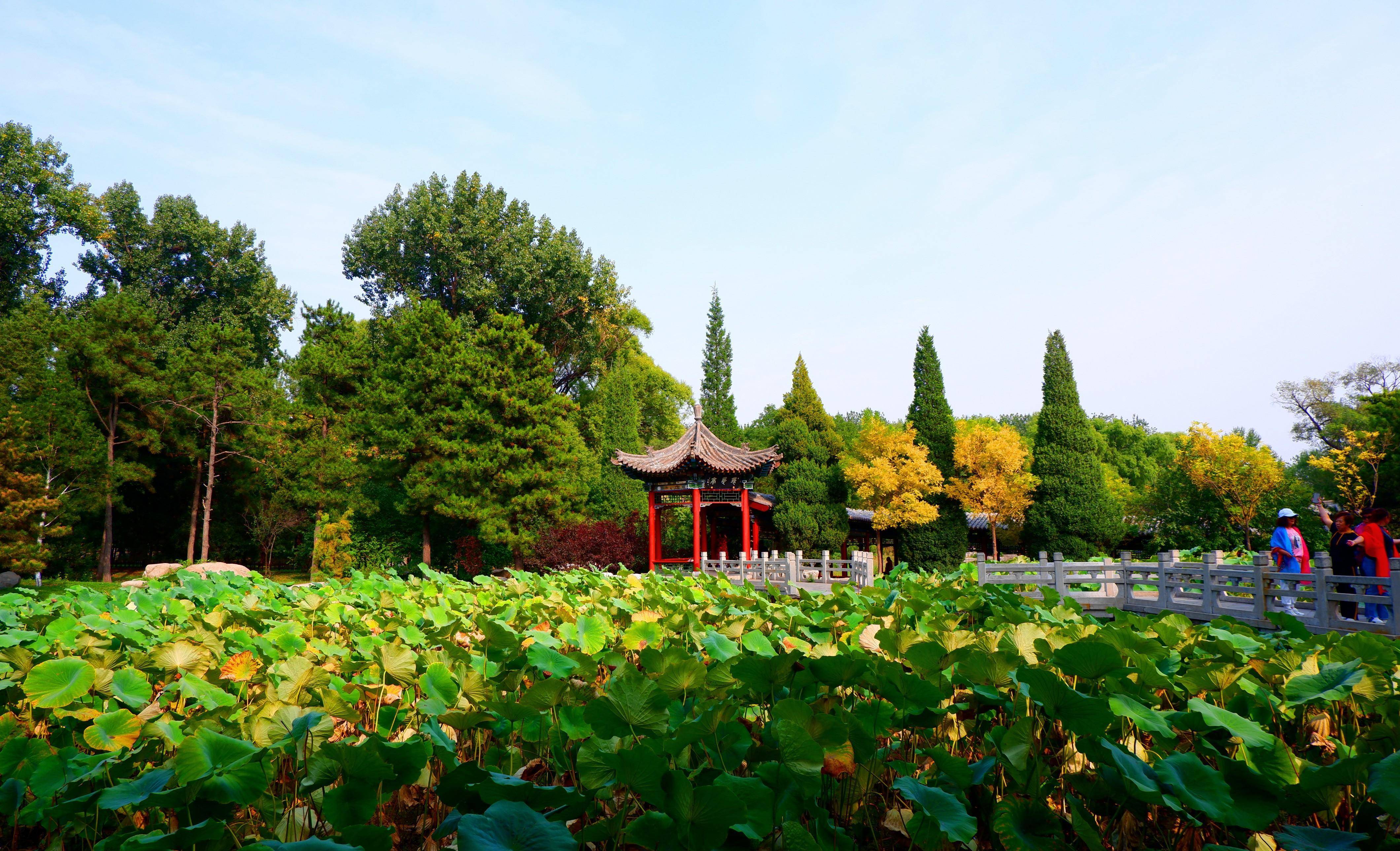 游走太原晋祠,与千年前的古建相遇