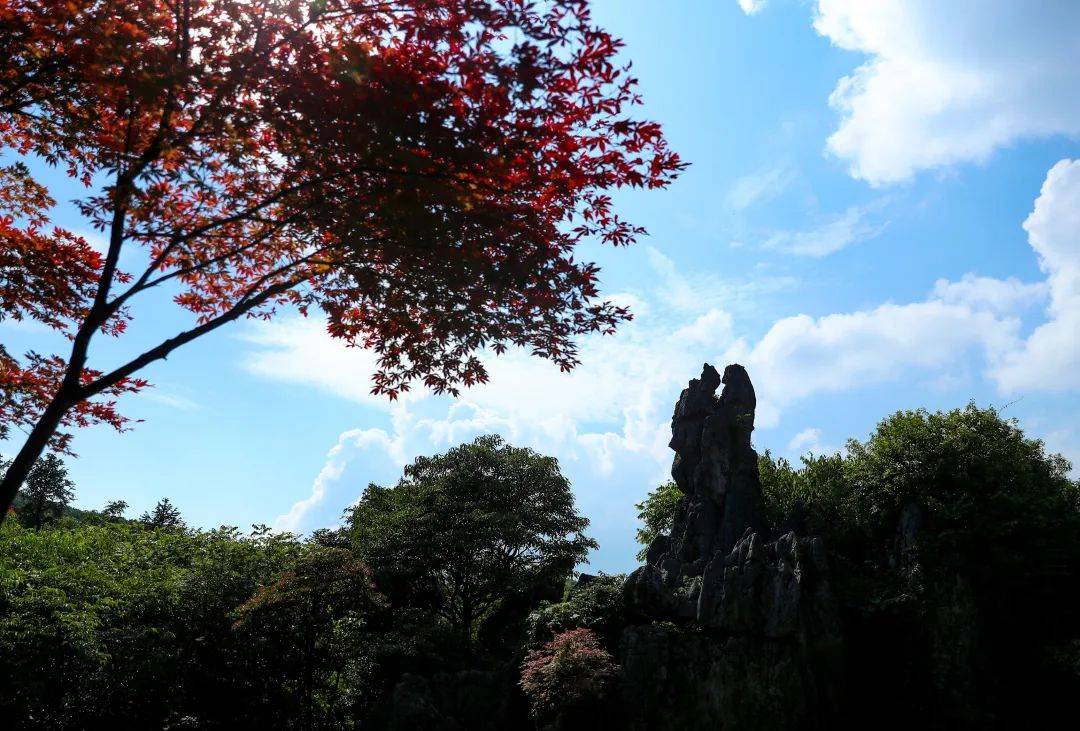 爭創天府旅遊名縣|詩意廣安 華鎣山魂_紅巖鄉_戰鬥_游擊隊