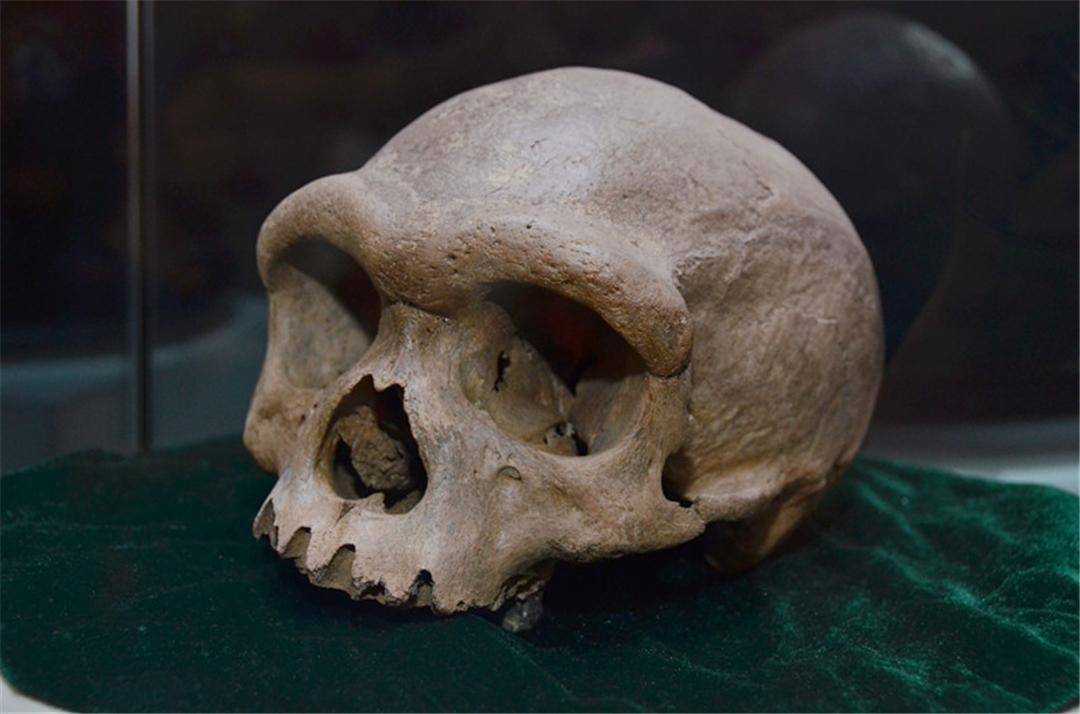 中国发现新人种"龙人",或改写人类起源,是中国人祖先吗?