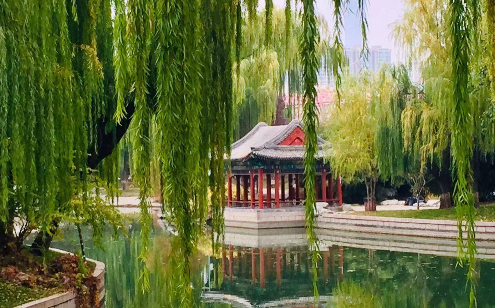得幸与君游,漫步碧水滨.高廊舒远目,秀林散芳馨.