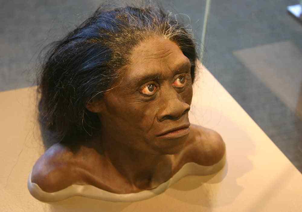 古人类猿人女性月经图片
