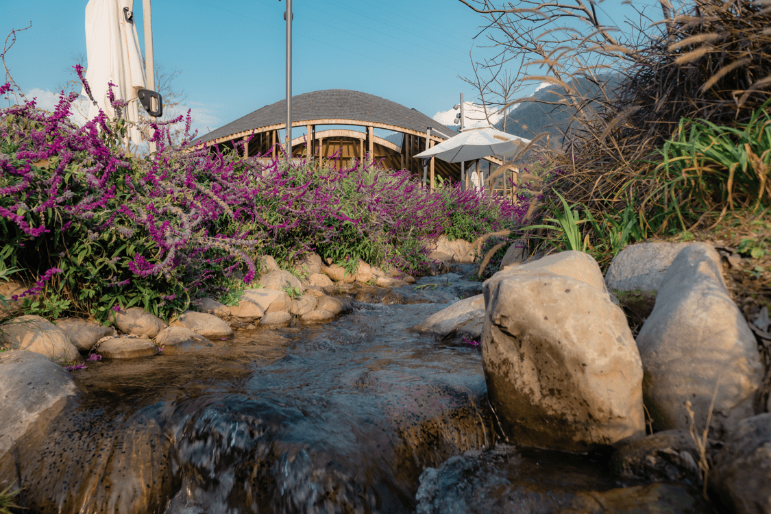 成都出发高铁3小时去德昌实现草莓自由:不盖大棚阳光直晒,_图片_海花