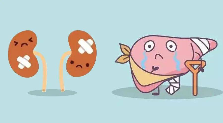 痛风通病:三年止痛,五年降酸,十年溶晶,十五年才重视肝肾!