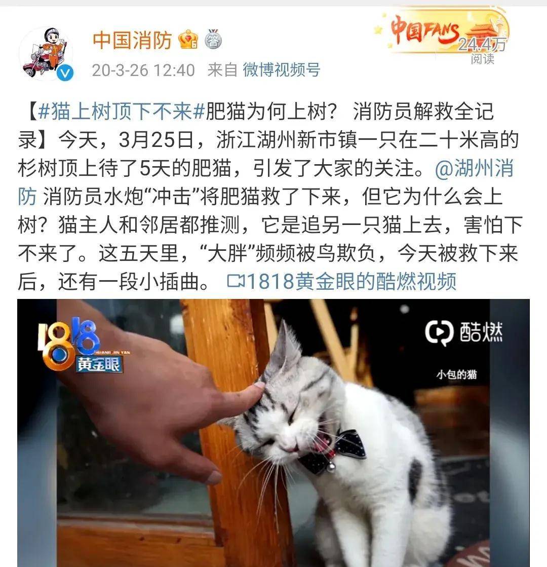狗头又双叒卡住消防员这只太难救了