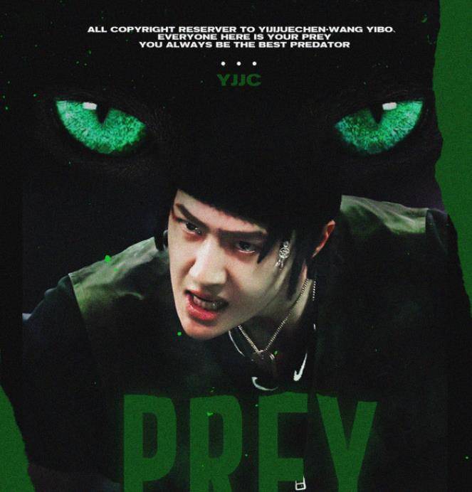 王一波_观众_黑豹