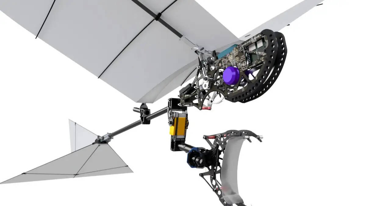 无人机技术新分支?像鸟一样飞行&着陆的扑翼机器人