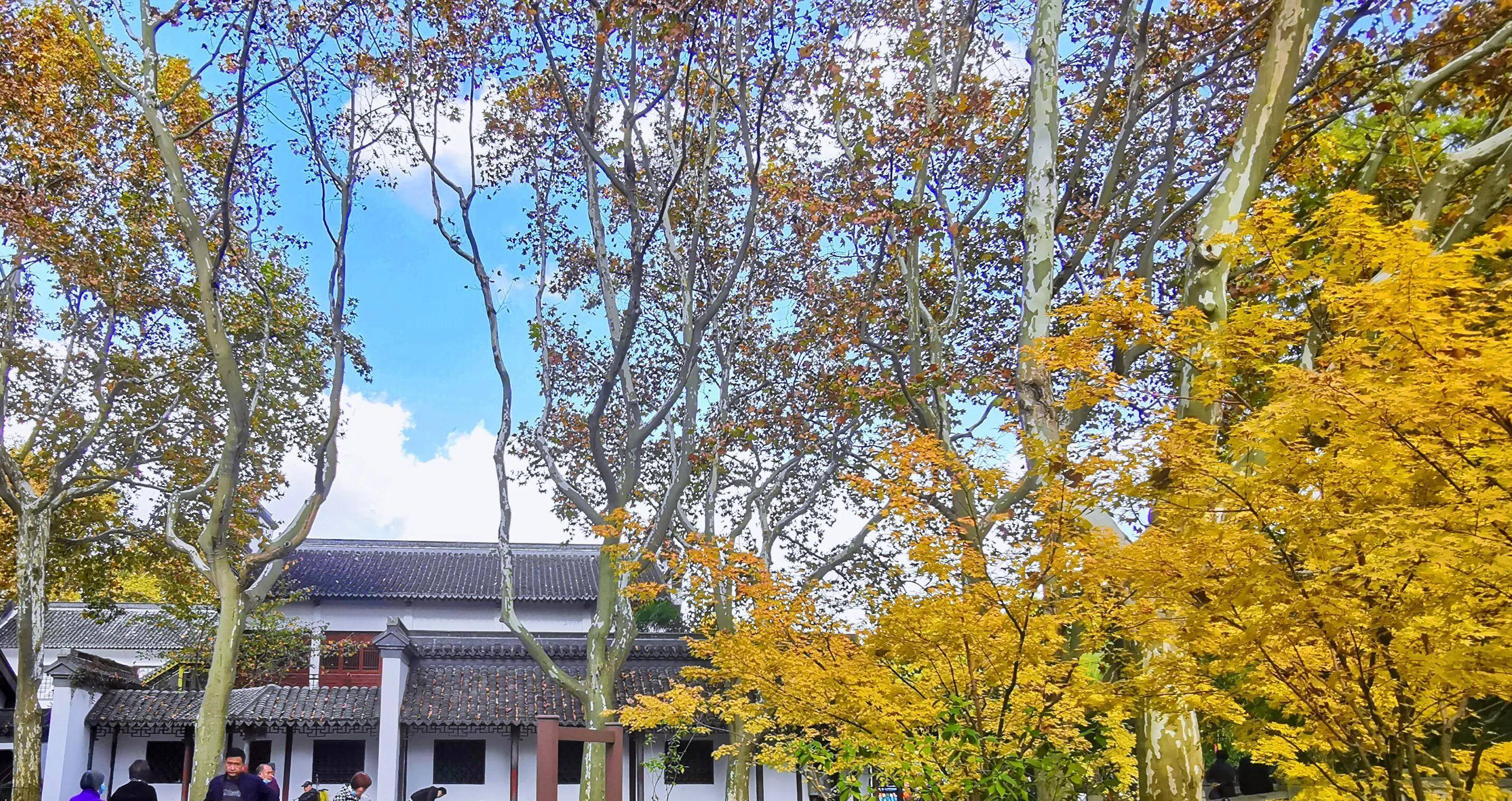 此外,公园还建有鲁迅纪念亭,鲁迅纪念馆等纪念性景点,又建有樱花园