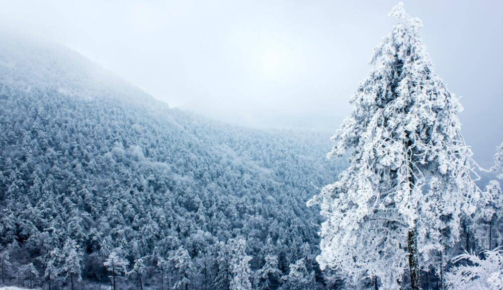 在寧波最美的角落裡,等待解鎖這個冬天的第一場雪_四明山_明湖_瀑布