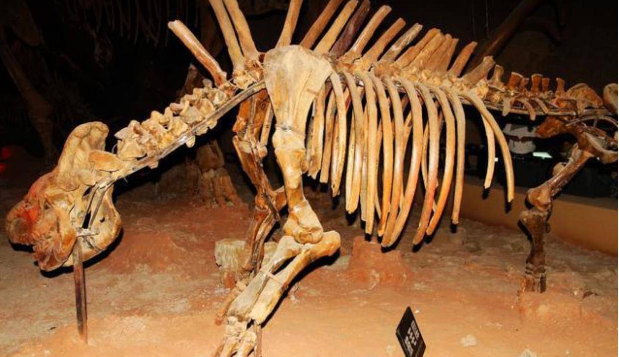 1934年辽宁一山村发现蛟龙坠地,70年后有人上交龙骨,真相如何?