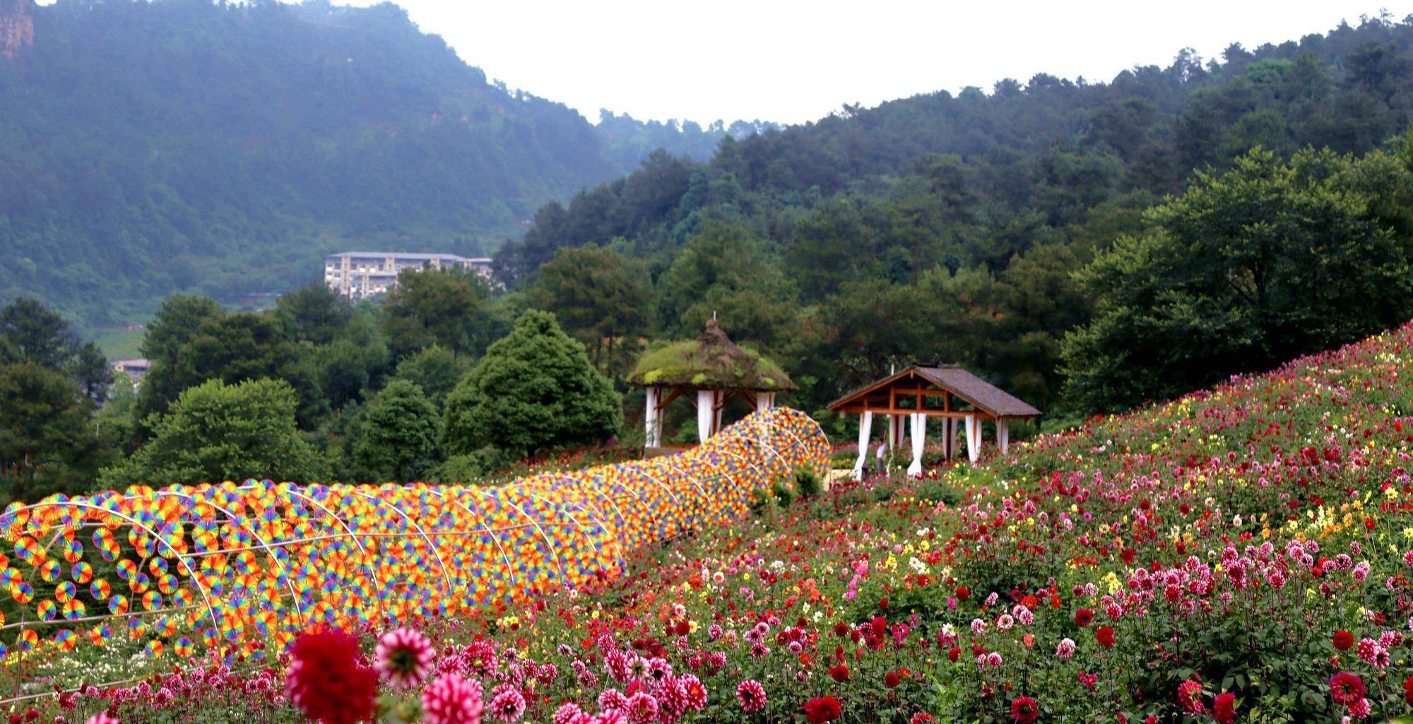 偶游四川五华山，误入桃花缘，88张图片，叫你挪不开你的眼