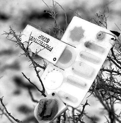 越战中美军犯下滔天大罪,来自地狱的武器-"橙剂"_美国_落叶_越共