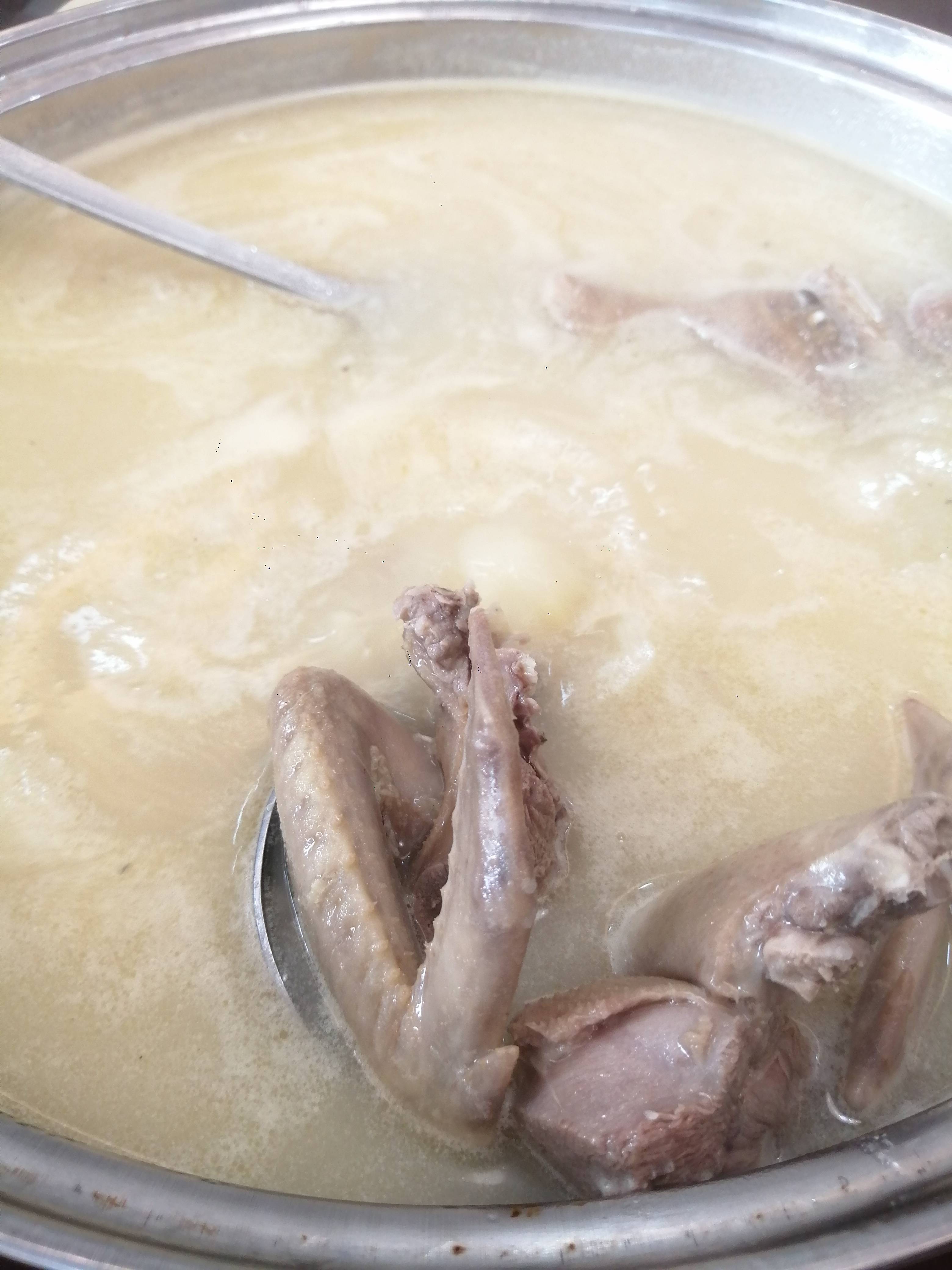 吃乳鸽汤就得去朱仔记鸽子肉鲜嫩可口汤清甜滋补不上火