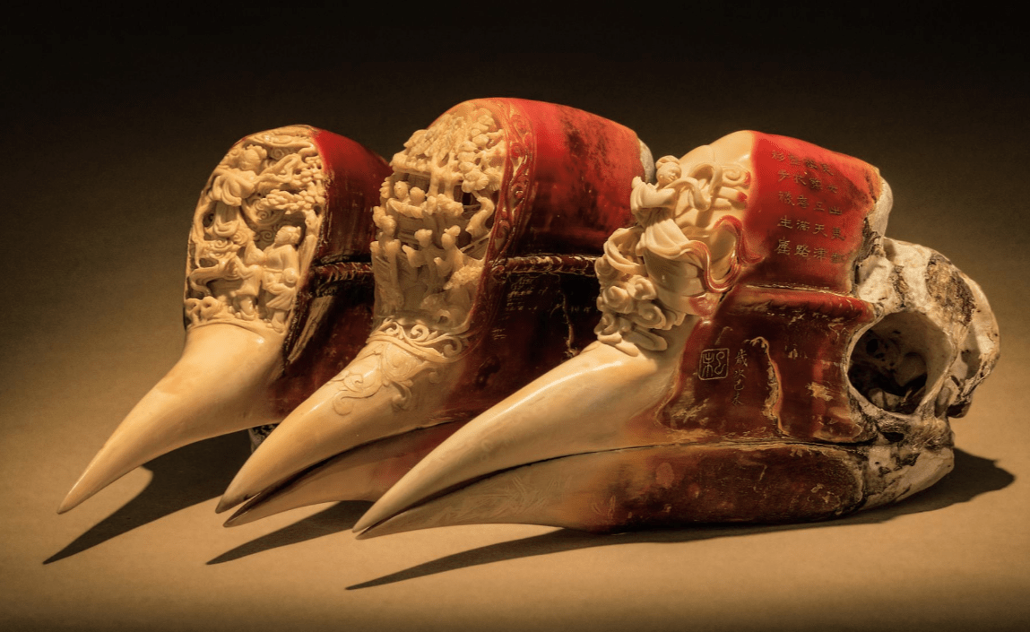 天津女子走私"鹤顶"被判十年,比熊猫更珍贵,据说能换套四合院