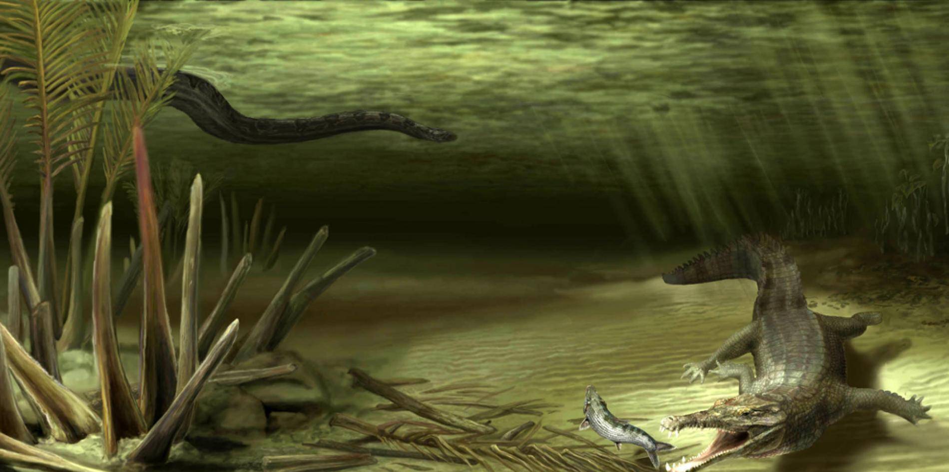 炎魔煤矿鳄与瓜希拉冥河鳄也都是在塞雷洪煤矿发现的化石,瓜希拉冥河