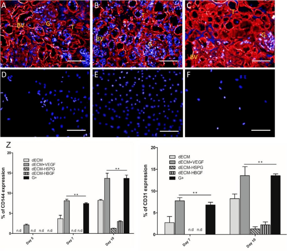 抗体药物重要靶点——血管内皮生长因子vegf_受体_通路_新生