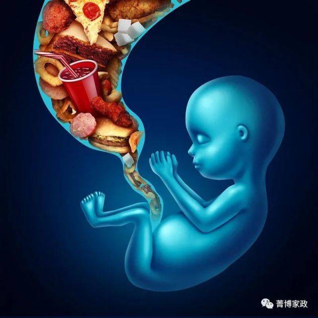 胎儿在十个月的发育过程中,每个月需要注意的事情!