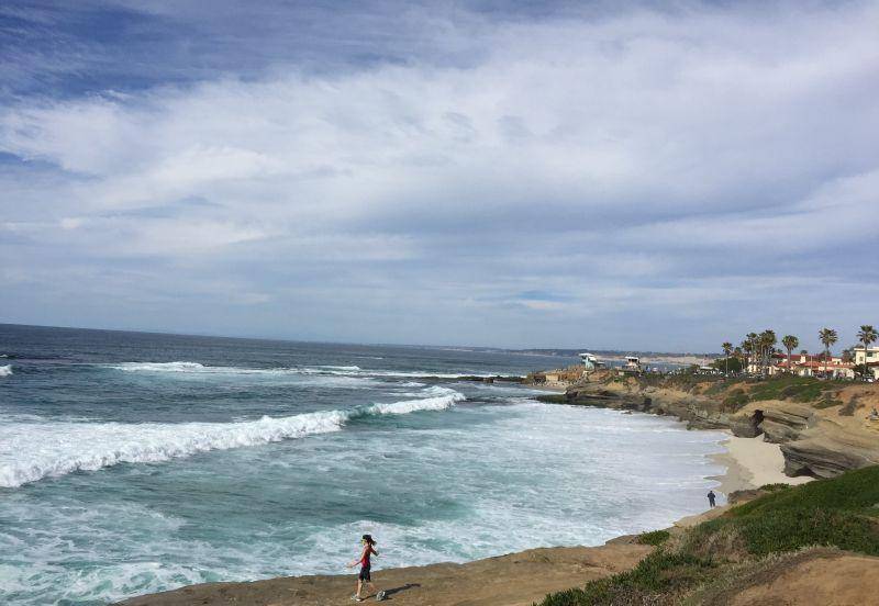 美国为女儿当"保姆"观景台海滩被成群结队海狮占领了_礁石_沙滩_大海
