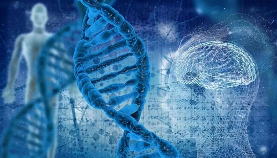 6种生命形态，碳基生命仅排第三，排名第一的硅基生命有多可怕？_生物_阿西莫夫_人类