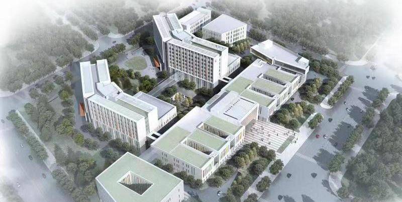 浦东新区一条公路，7家医院集聚，打造浦东的“健康大道”