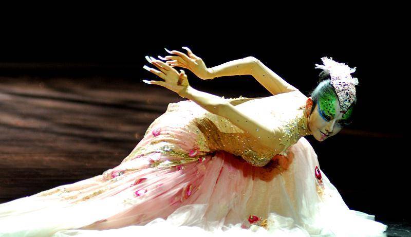 杨丽萍与男爱徒跳舞太过投入,当镜头拉近时,网友:让人难以接受_艺术