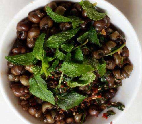 炒出来的田螺又鲜又美味,而且薄荷叶可以遮盖田螺腥臭的味道,田螺就会