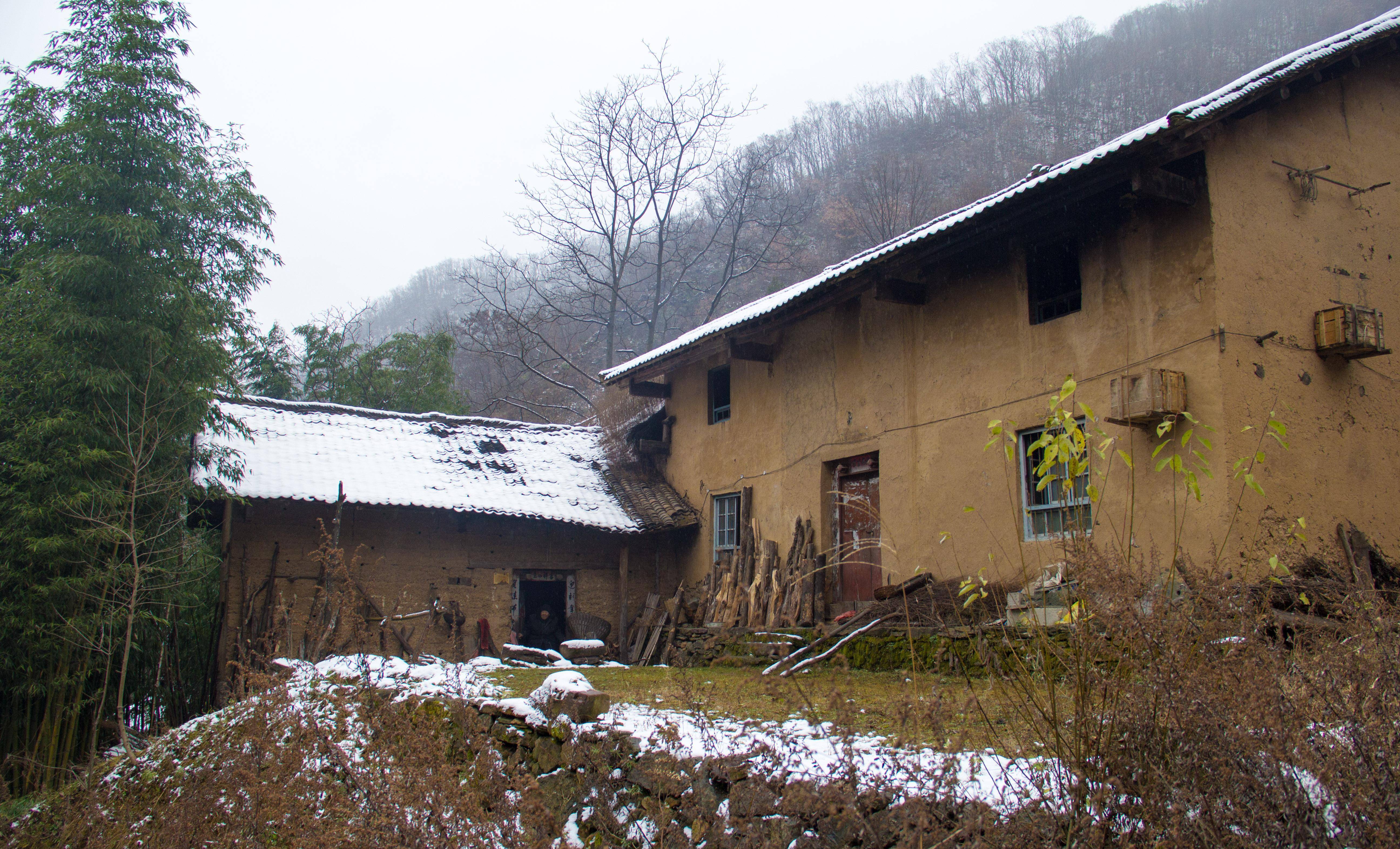 寻访秦岭黑沟