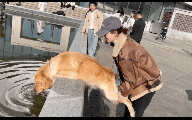 带狗出门散步它渴了,女主人只好扶着它的狗腿,趴在观景池里喝水_狗狗
